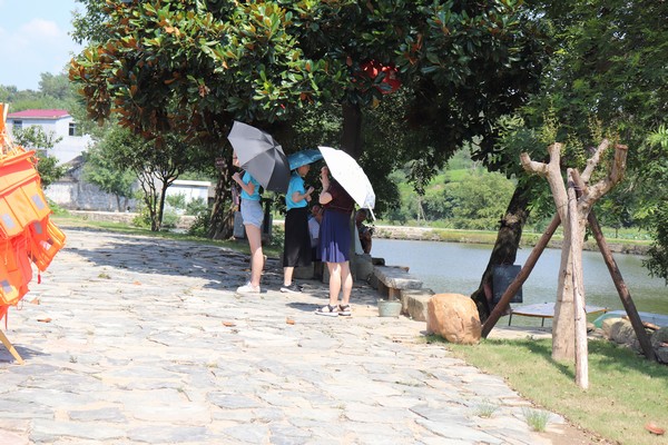 IMG_4356.JPG IMG_4356.JPG